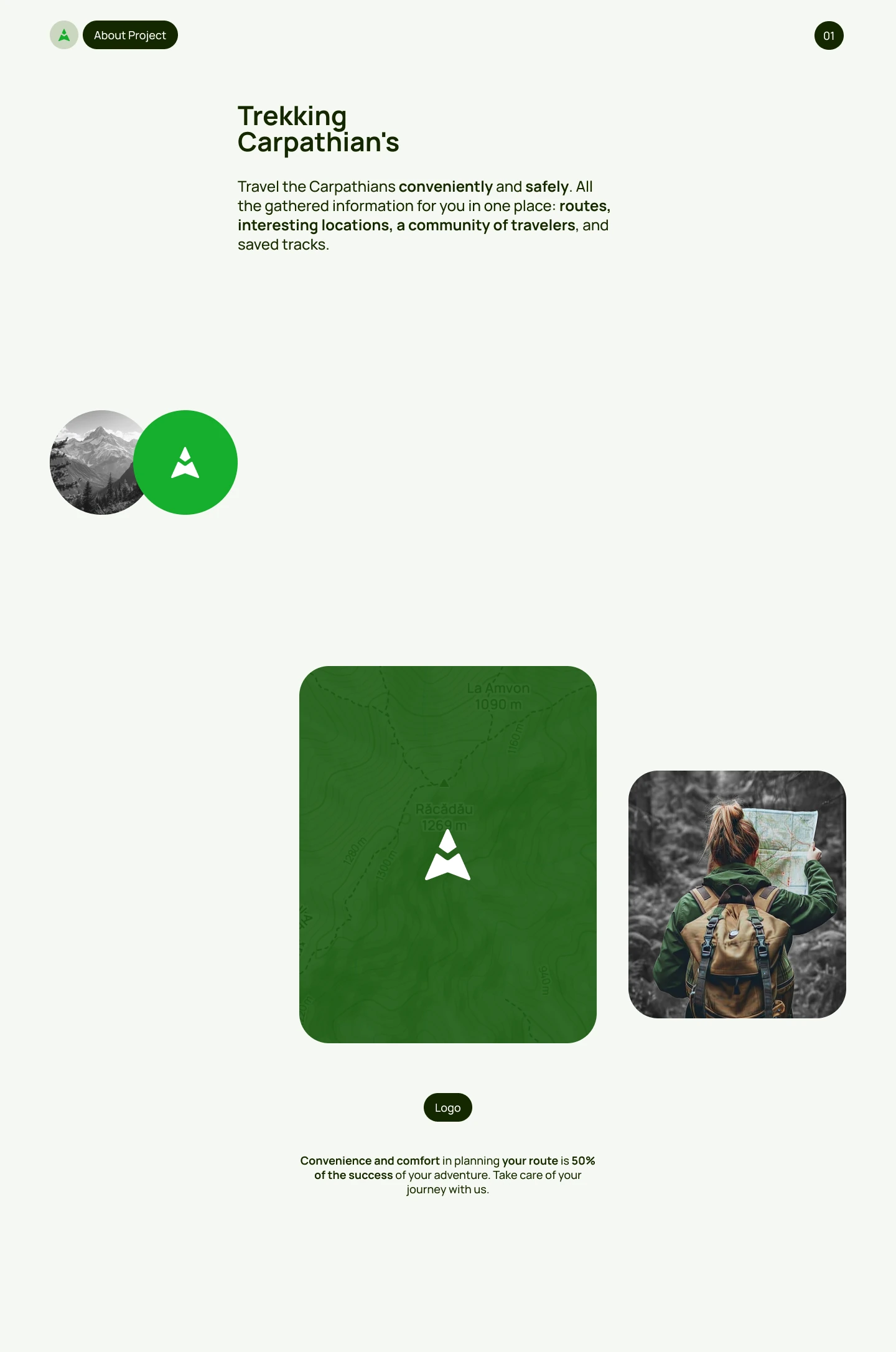 Project overview
